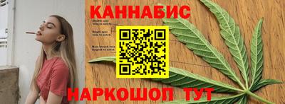 гашик Будённовск