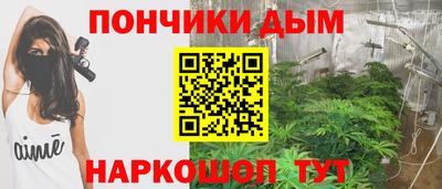гашик Будённовск
