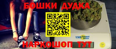 гашик Будённовск