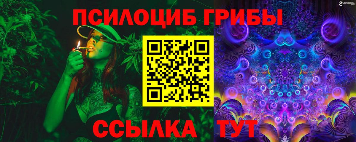 дарнет шоп  Вход с VPN  Сухой Лог  Галлюциногенные грибы Cubensis 